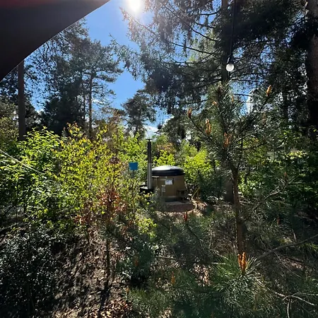 度假居 Tiny House Op De Veluwe