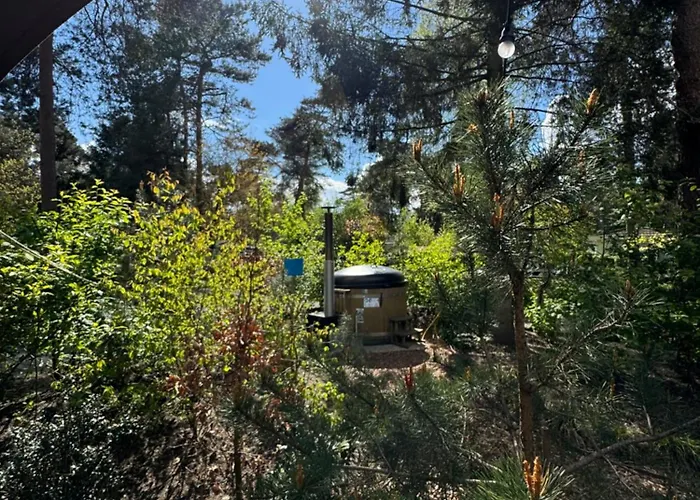 Semesterbostad Tiny House Op De Veluwe